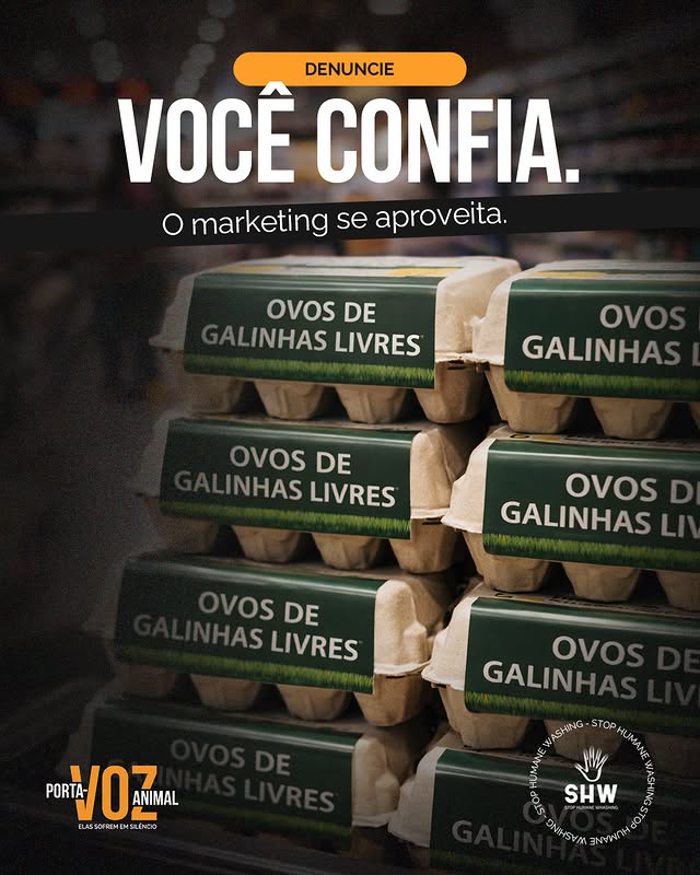 Post 4
