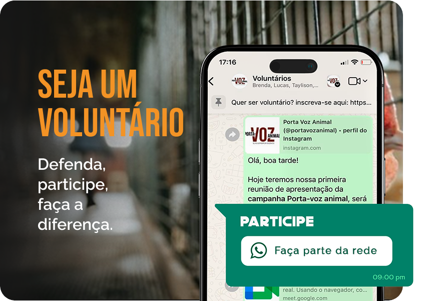 Banner voluntário mobile