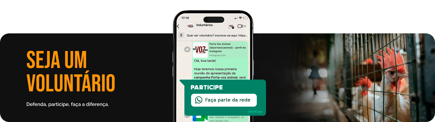 Banner voluntário